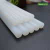 Keo nến silicon (1)